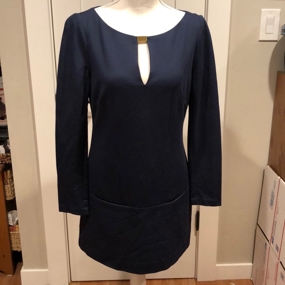 Trina Trunk Navy Sheath Dress